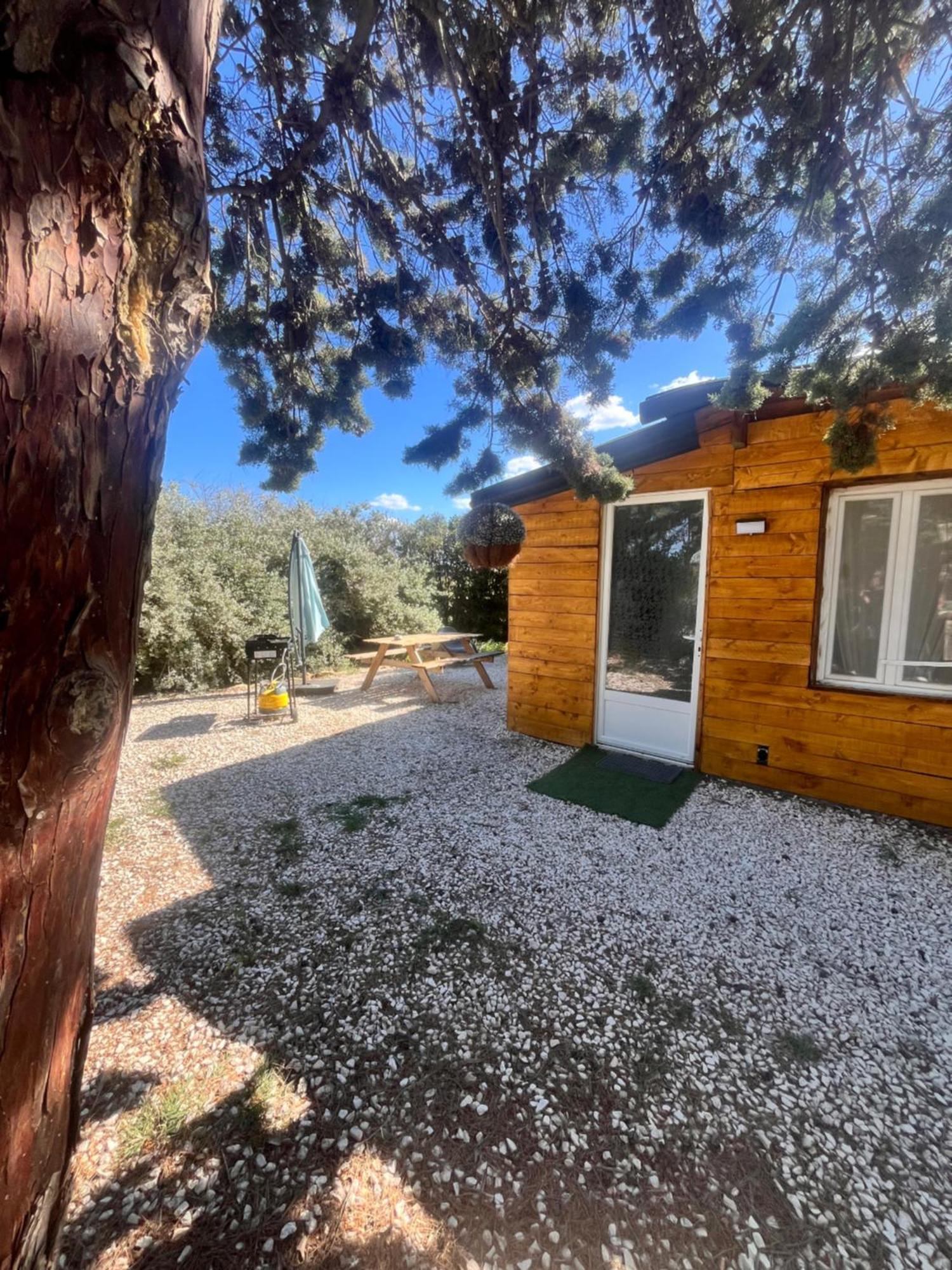 Location T3 Jardin Avec Piscine Holiday home *